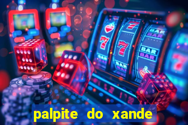 palpite do xande de hoje